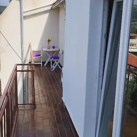 Radic Rg * Rogoznica (Sibenik-Knin)