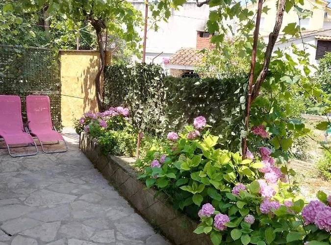 Radic Rg * Rogoznica (Sibenik-Knin)